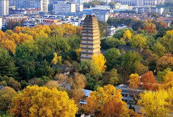 陕西西安小雁塔+西安博物院半日游【纯玩体验+两场可选】【精致小团/全程无购物/无自费】