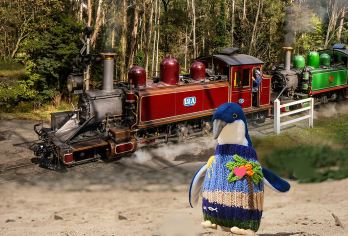 【圣诞元旦有位】墨尔本普芬比利蒸汽小火车+小企鹅菲利普一日游【乘百年复古火车穿梭，沉浸式感受时光韵味；黄昏见证企鹅列队归巢，萌态尽显】