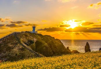 韩国济州岛牛岛一日游【5大网红景点】14人精品小团|城山涉地【一天打卡济州东部5大网红景点:1.牛岛 2.城山 3.涉地 4.月汀里 5.咸德，刷爆朋友圈!】