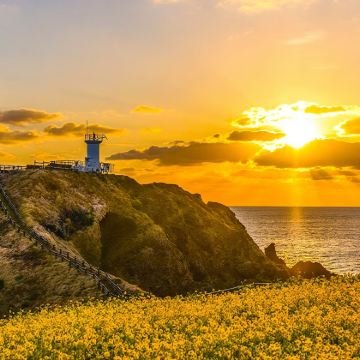 韩国济州岛牛岛一日游【5大网红景点】14人小团可选|酒店接