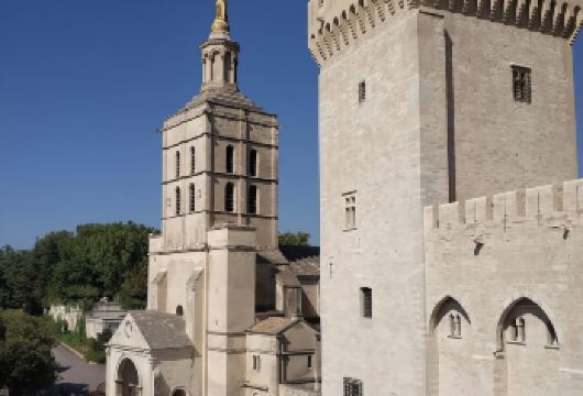 【包车】智利+瓦尔帕莱+索康塞普西翁山 -中文司机8小时服务【中文专车出行，行程自己定义，无需等待，专属贴心服务，尽享惬意旅程】