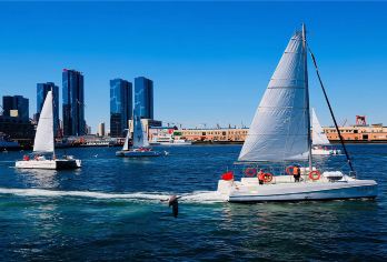 棒棰岛+星海广场+跨海大桥一日游【13点发团+浪漫夜景】【[精选经典]真真正正纯玩团，深度慢游海滨十大景点，无购物不自费】