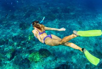 神州半岛洲仔岛珊瑚礁浮潜+赠送：浮潜拍照小视频+网红共享帆船【[官方门票、随到随玩，不玩可退、一价全包]】