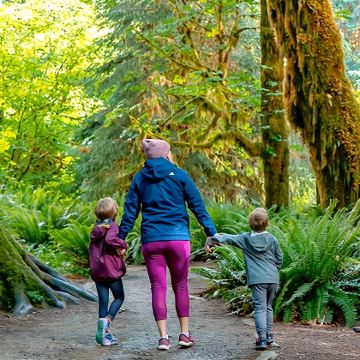 美国西雅图奥林匹克国家公园+飓风岭+班布里奇岛一日游