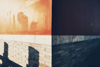 秦岭四宝科学公园+楼观台森林公园+水街+古楼观历史文化景区【走近四宝馆，与网红七仔亲密互动】