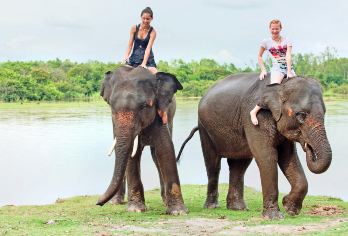 普吉ATV越野+骑象体验：打卡大佛与查龙寺文化之旅【[ATV越野20分钟]穿越丛林山路，畅享驾驶乐趣，亲身感受普吉自然风光】