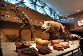 上海自然博物馆+南京路步行街+外滩+朵云书院+城隍庙一日游【行程路线可根据个人喜欢进行调整。】