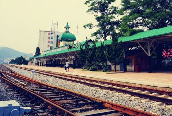 旅顺潜艇博物馆+黄渤海分界线+旅顺博物馆一日活动【上门接】【帆船出海与海鸥亲密互动，观大自然奇观--黄渤海分界线】