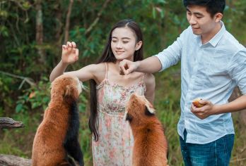 普洱太阳河森林公园一日游【市区上门接送+含门票电瓶车】【[精致小团]小团出游，不奔波不赶路，睡醒出发；】