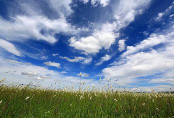 希拉穆仁草原【骑马/下马酒/手把肉/牧场/哈达/千人口碑】【品质保障，价格透明，口碑推荐，不进蒙亮 部落等购物店】