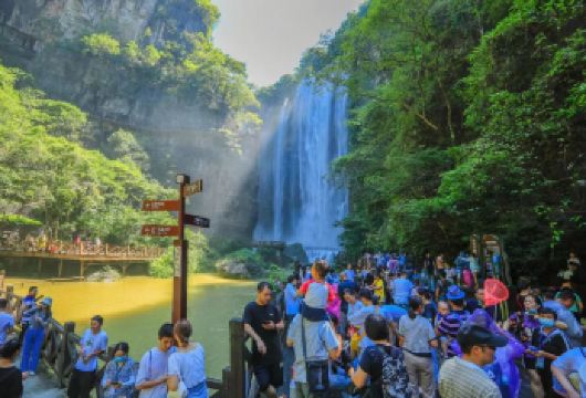 宜昌三峡大瀑布半日游【优选推荐】每天2班 穿越中国十大名瀑 【[出游保障]天天发团，上/下午每天2班，高驾龄老司机全程保驾护航，深度游览不再匆匆而过留遗憾！】