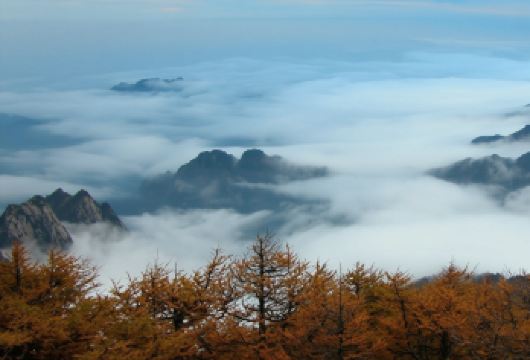包车游尊享私家团【太白山国家森林公园】打卡云海.探秘太白之旅【西安三环内上门接送/精品私家团.1单1车.直达景区.安心游无购物】