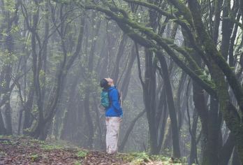 高黎贡山毛毛球始祖原始森林【自然疗愈9公里】中度徒步【徒步穿越马帮古道你将能够深入高山草甸，聆听自然的呼吸与心跳。】
