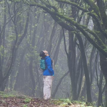 高黎贡山毛毛球始祖原始森林【自然疗愈9公里】中度徒步