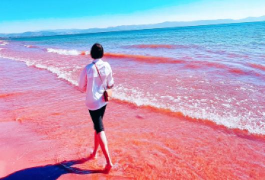 云南省博物馆+抚仙湖禄充风景区+明星鱼洞+红沙滩包车一日游【[创新线路]包含禄充风景区门票+明星鱼洞门票+云南省博物馆2小时深度讲解（无线耳麦+预约入园门票）】