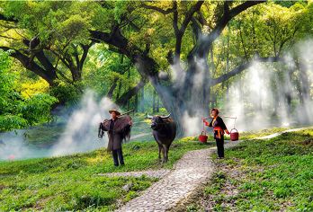 “赴山海之约，寻绿野仙踪 —— 太姥山杨家溪精华游”一日游【“海上仙都遇榕林仙境】
