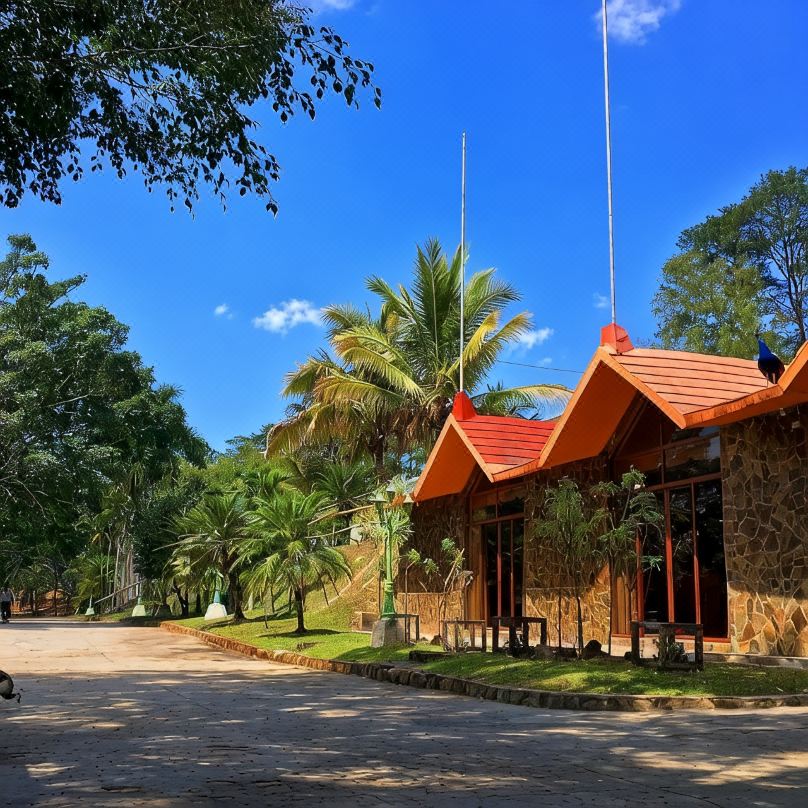 Hotel Entre Pinos
