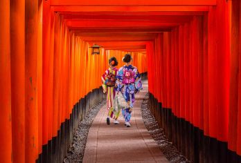 【大阪起止】奈良邂逅萌鹿+东大寺+伏见稻荷大社+清水寺一日游【[贴心服务]4~9人优质小团+全程舒适商务/中巴+集合站3公里内可升级上门接送+老司机保驾护航】