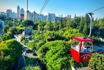 钟鼓索道+厦门大学+南普陀寺+沙坡尾一日游【含餐+接送】【1人即成团，1-15人小团，天天发团】