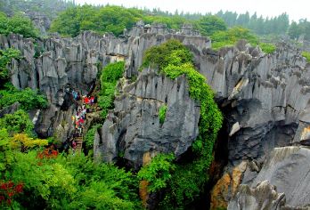 昆明石林风景区一日游【纯玩】【独特的喀斯特地貌】