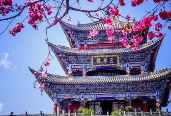 大理沙溪古镇一日游（可选8人商务小团|可选包车上门接送）【打卡《去有风的地方》•8人内商务小团]】