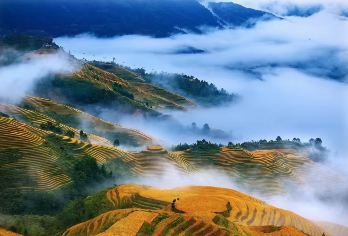 “一日览胜：芦笛岩的奇幻与龙脊梯田的壮美”【10小时VIP小团服务，可定制行程（包含多日定制）】