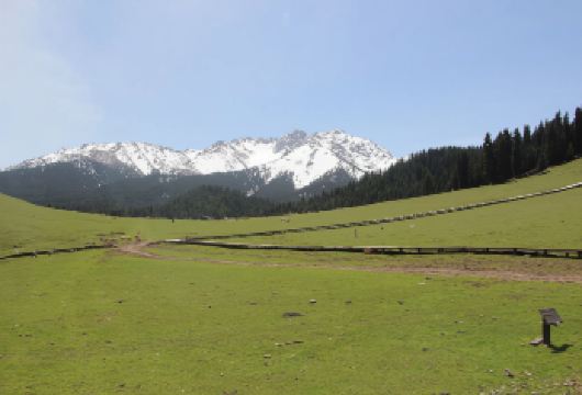 天山大峡谷一日游【12点可出发，每天发班】【晚出发】