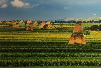 大同包车·长城1号旅游公路东线（镇川堡到李二口）1日游【1. 免费在线咨询，快速帮您制定大同包车出游方案】