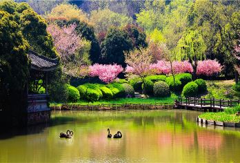 无锡鼋头渚风景区+三国城+水浒城一日游【南京出发&精选纯玩】【服务保障：本地专职导游讲解，带您畅游锡城，体验“三分看、七分听”的魅力，赏太湖湖泊风光！】