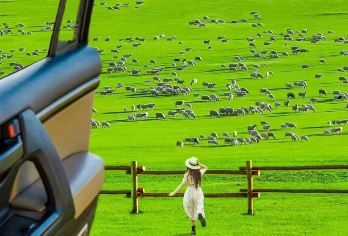 呼伦贝尔草原+莫尔格勒河景区【秋季特惠包车丨全景环线制行程】【[服务保障]专业司机、安全可靠丨一站式服务、省心省力丨一车一团丨拒绝使用大巴车丨一对一人员服务丨】