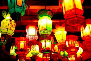 嘉兴乌镇东栅+南浔一日游【含讲解耳机+南浔景区小门票◆纯玩】【[舒适跟团]双水乡组合，优化游览线路，不紧不慢中游览两大5A级水乡古镇。】