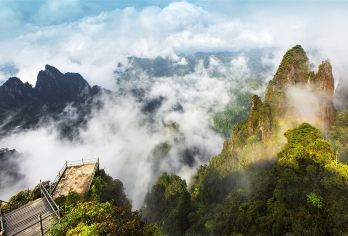 郴州莽山五指峰景区一日游【含门票+往返索道+往返车+接驳车】【包含车费+五指峰门票+双程缆车+导游】