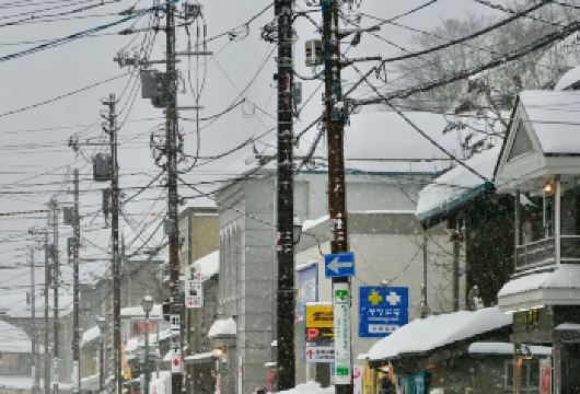 日本富良野青池+美瑛圣诞树【中文司机/可订多日】【免费量身定制行程，多日行程包车巨惠！详情可咨询客服人员！】