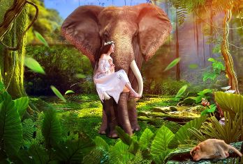 西双版纳野象谷+原始森林公园一日游【畅享纯玩┃探索雨林盛景】【[产品保障]一手操作，品质保障，让您安心出游，绝无后顾之忧！】