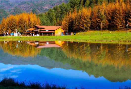 巫溪红池坝风景区一日游【私家包车游】大草原避暑胜地 私家团】【[服务保障]自营，专业定制游巫溪旅游5年，让你自由、省心、有保障，奉节城区行程当天专车接送】