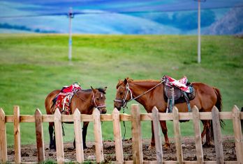 辉腾锡勒草原+乌兰哈达火山一日【市区直达/晚出发/不早起】【鲜花草原-辉腾锡勒草原，《国家地理》推荐乌兰哈达火山群；一日阅尽醉美草原、火山熔岩地貌奇观。】
