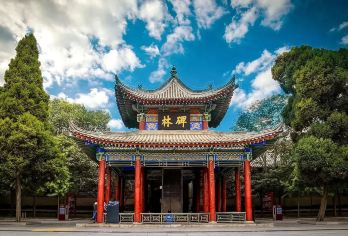 深刻解读┃西安碑林资深文史讲者4小时互动式纯讲解私家小包团【西安碑林深刻解读告别走马观花】