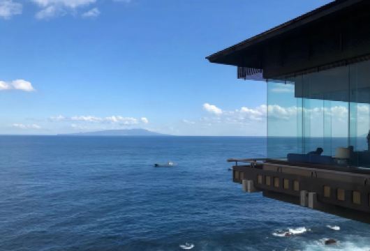 日本东京+伊豆+热海海滨公园一日游/行程可调-可定制多日【包车一日游，解锁旅行新方式！独立车辆配备经验丰富的老司机，为您量身打造专属行程。】