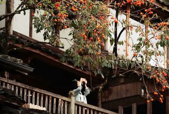 【轻奢小团】屏南文创四坪村和龙潭里，历史文化名村漈下村一日游【[景点特色]漈下村走进村子可以感受到浓浓的明清遗风，古建筑颇具特色，名胜古迹甚多，历史文化气息浓厚】