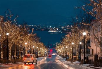 日本北海道-札幌往返-美瑛-富良野-旭川-红叶/冬季必打卡【专业行程定制，精选热门景点，高效游玩不走回头路，贴心服务保障，轻松】