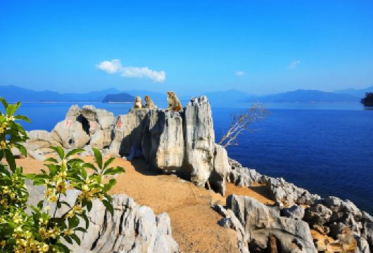 杭州千岛湖东南湖区+黄山尖一日游【私家团 单独导游 不拼团】【[核心景点]千岛湖东南湖区精选岛屿，登岛游、乘船游，感受每个角度的风景。】