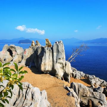 杭州千岛湖东南湖区+黄山尖一日游【私家团 单独导游 不拼团】