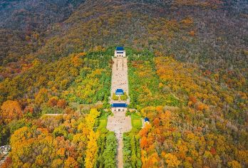 南京中山陵+明孝陵+音乐台+美龄宫一日活动 8/15人小团【音乐台喂鸽子 希望你是自由的】
