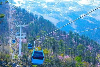 云南：玉龙雪山一日游【丽江出发 玉龙雪山冰川大索道】Q【乘玉龙雪山冰川大索道，自由畅玩“卢塞恩玻璃宫”之称的冰川公园！】