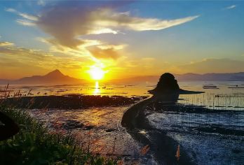 沙江S湾-半月里-东安岛-红树林-下青山日落1日游【全程专车接送，向导陪同讲解】