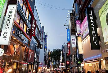 凯蒂猫乐园+绿茶博物馆+涯月海岸路+涯月咖啡厅一日游【包车】【本产品为中文司机专车，包含往返参观及用餐时间。】