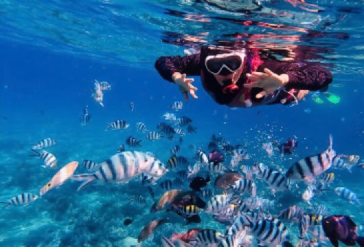 越南芽庄Mun岛浮潜一日游【在黑岛海洋保护区浮潜——在清澈见底的海水中探索生机勃勃的天然珊瑚礁和热带鱼群。 放松身心的海岛体验——畅游碧波、打卡拍照，并在漂浮渔村享用午餐。】
