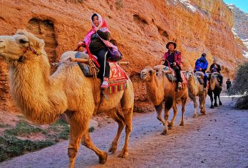 张掖平山湖大峡谷半日游上午/下午场【品质4人精致小团可选】【·正规发牌：先进集体、先进旅行社、旅游优质承诺单位，匠心旅途无套路！~】