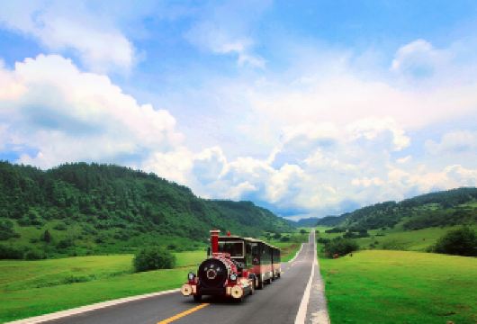 重庆武隆天生三桥+龙水峡地缝/仙女山一日游【2-8人小团】【[真正小团引领者]2-8人精品小团，9座福特全顺，福田、大通、7座别克或大通，5座轿车，享受大空间！】