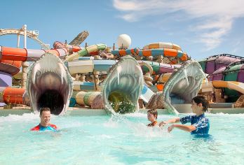 阿布扎比双乐园1日游【畅玩乐翻天，YAS岛乐园四任选二】【迪拜阿布扎比往返接送，行程无忧】